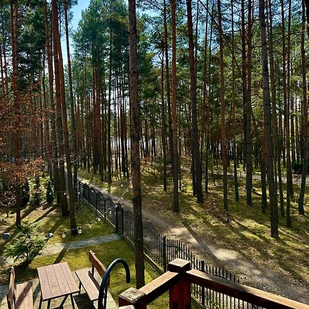 Domek W Lesie Nad Zalewem Chancza Bagian luar foto